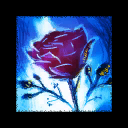 Chapter 1: Desert Bloom